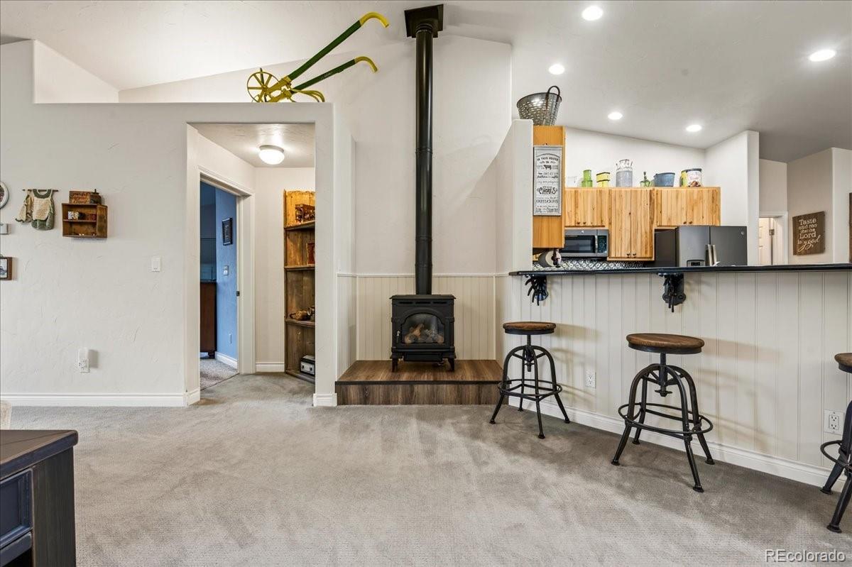 MLS Image #10 for 233 e nevava street,hot sulphur springs, Colorado