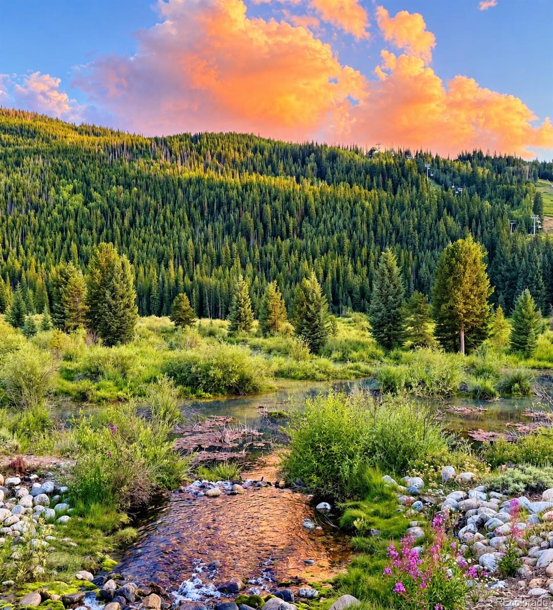 MLS Image #30 for 22 e trade court,keystone, Colorado