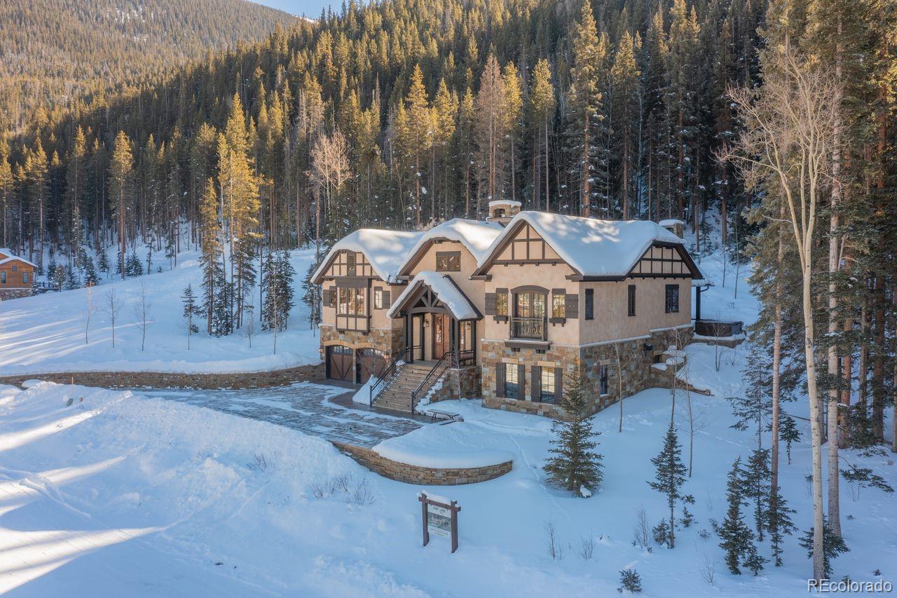 MLS Image #34 for 22 e trade court,keystone, Colorado