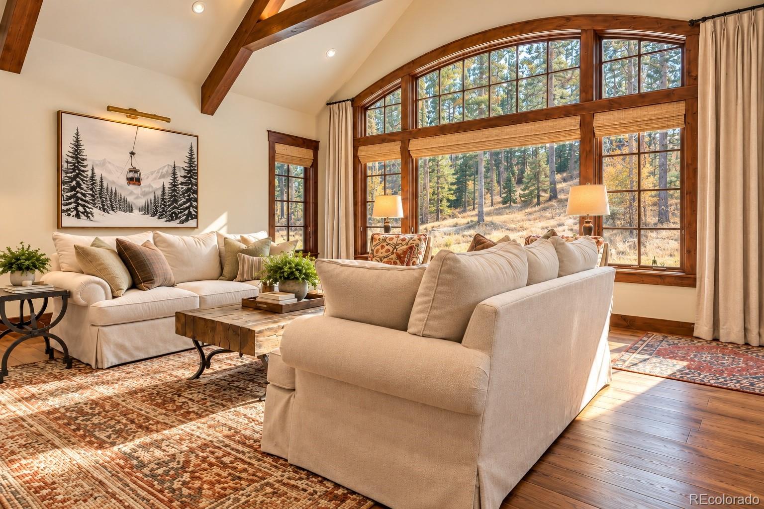 MLS Image #4 for 22 e trade court,keystone, Colorado