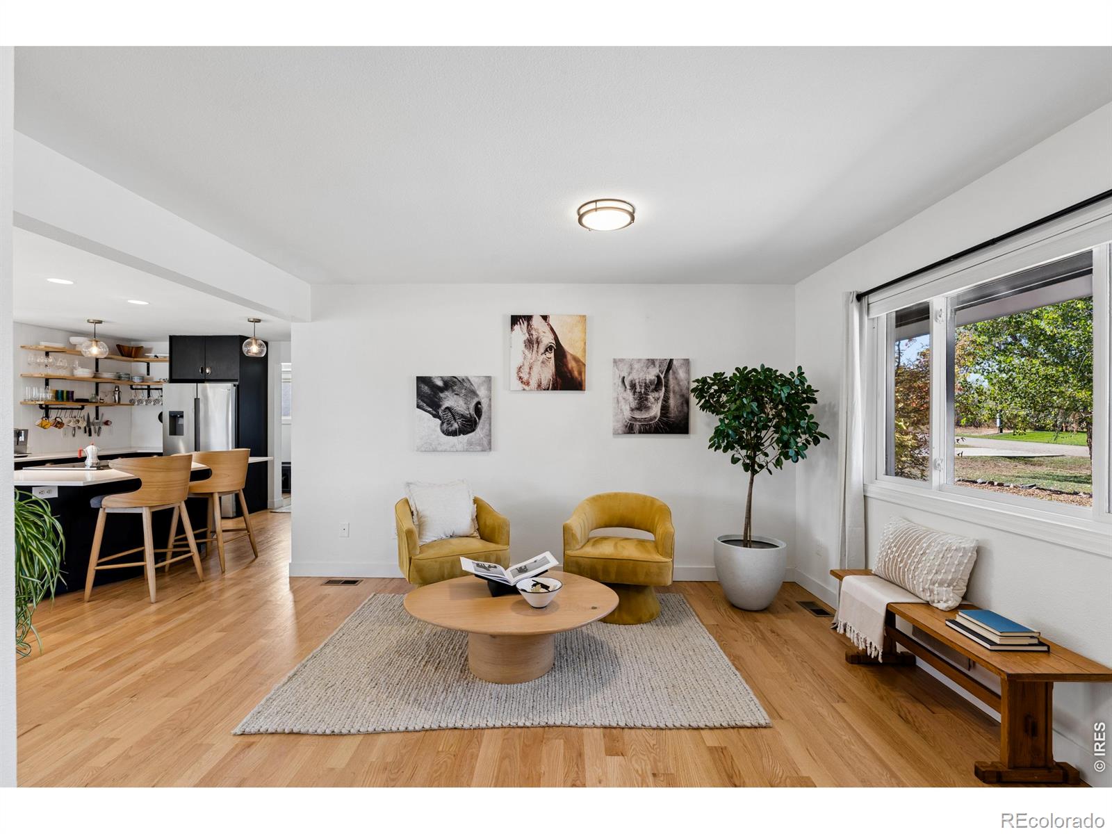 MLS Image #2 for 10394  macedonia street,longmont, Colorado