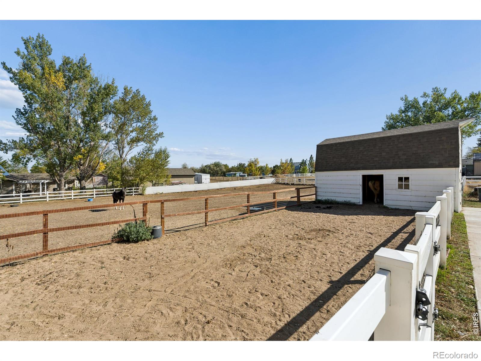 MLS Image #32 for 10394  macedonia street,longmont, Colorado