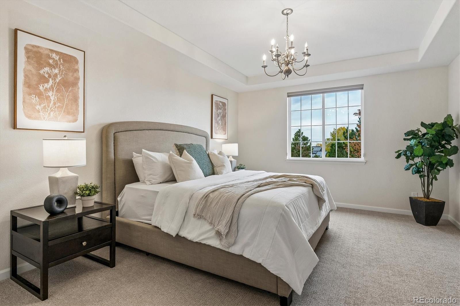 MLS Image #12 for 10487  skyreach road,highlands ranch, Colorado