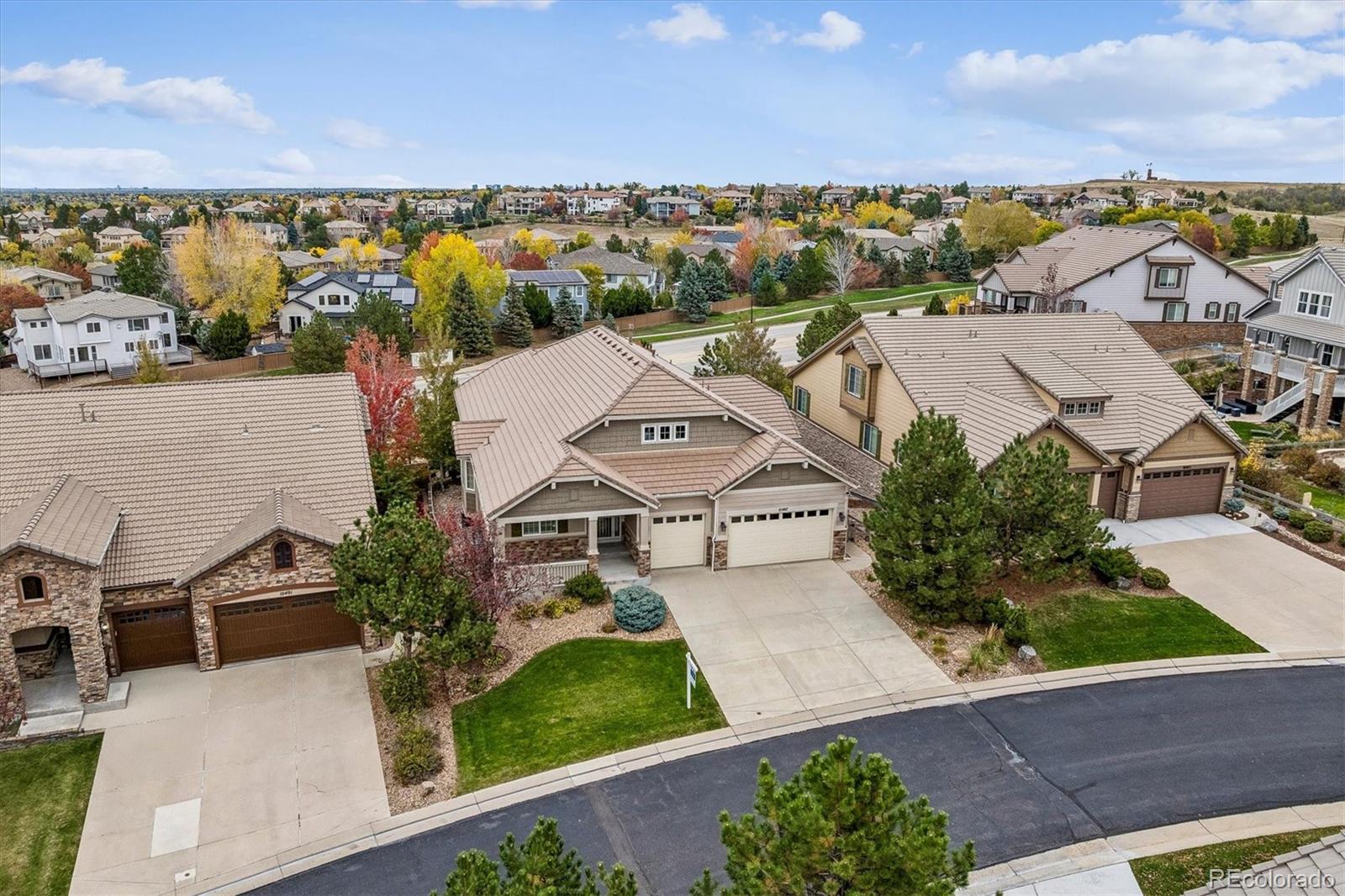 MLS Image #28 for 10487  skyreach road,highlands ranch, Colorado