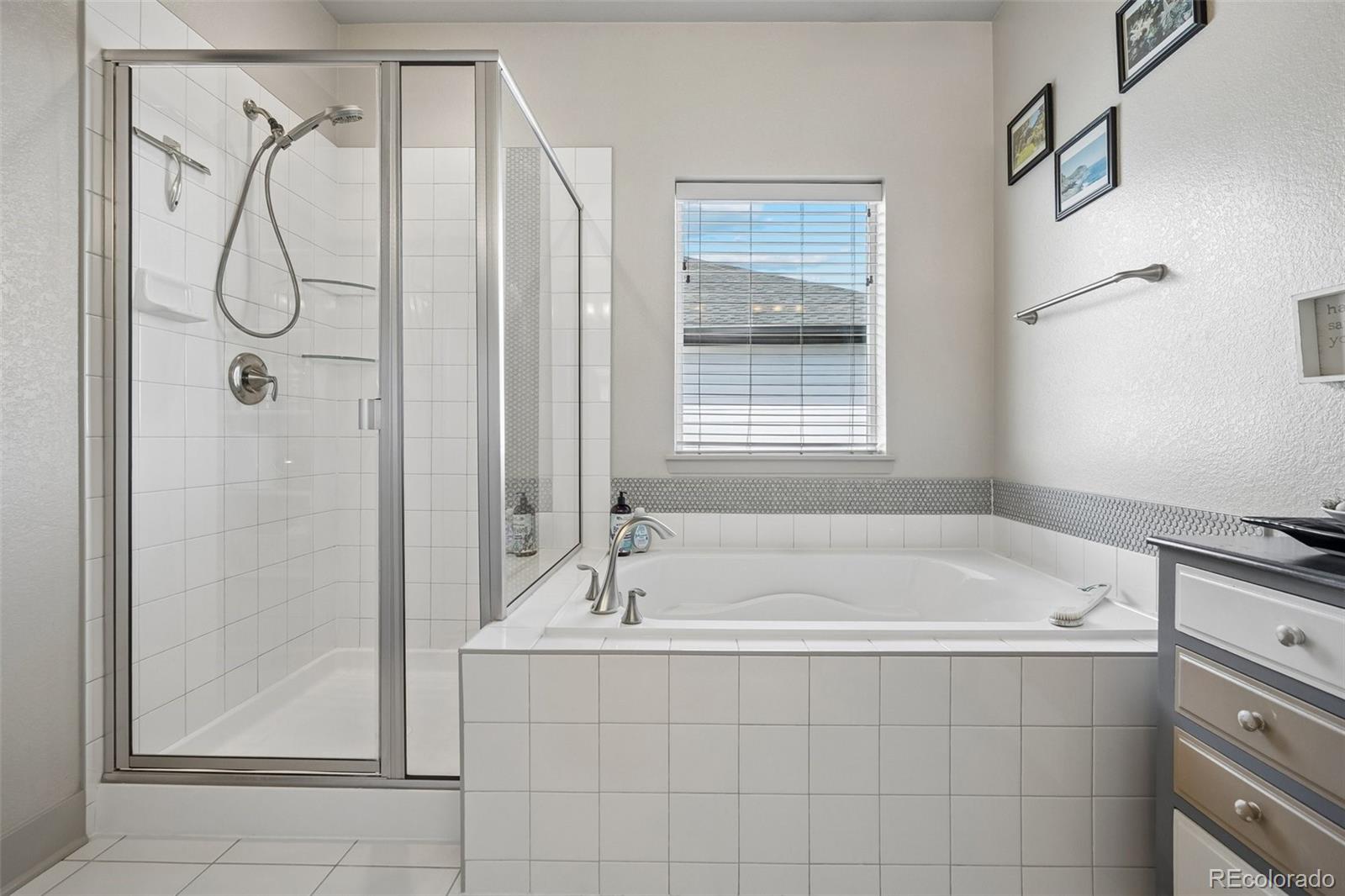 MLS Image #29 for 21463 e 59th place,aurora, Colorado