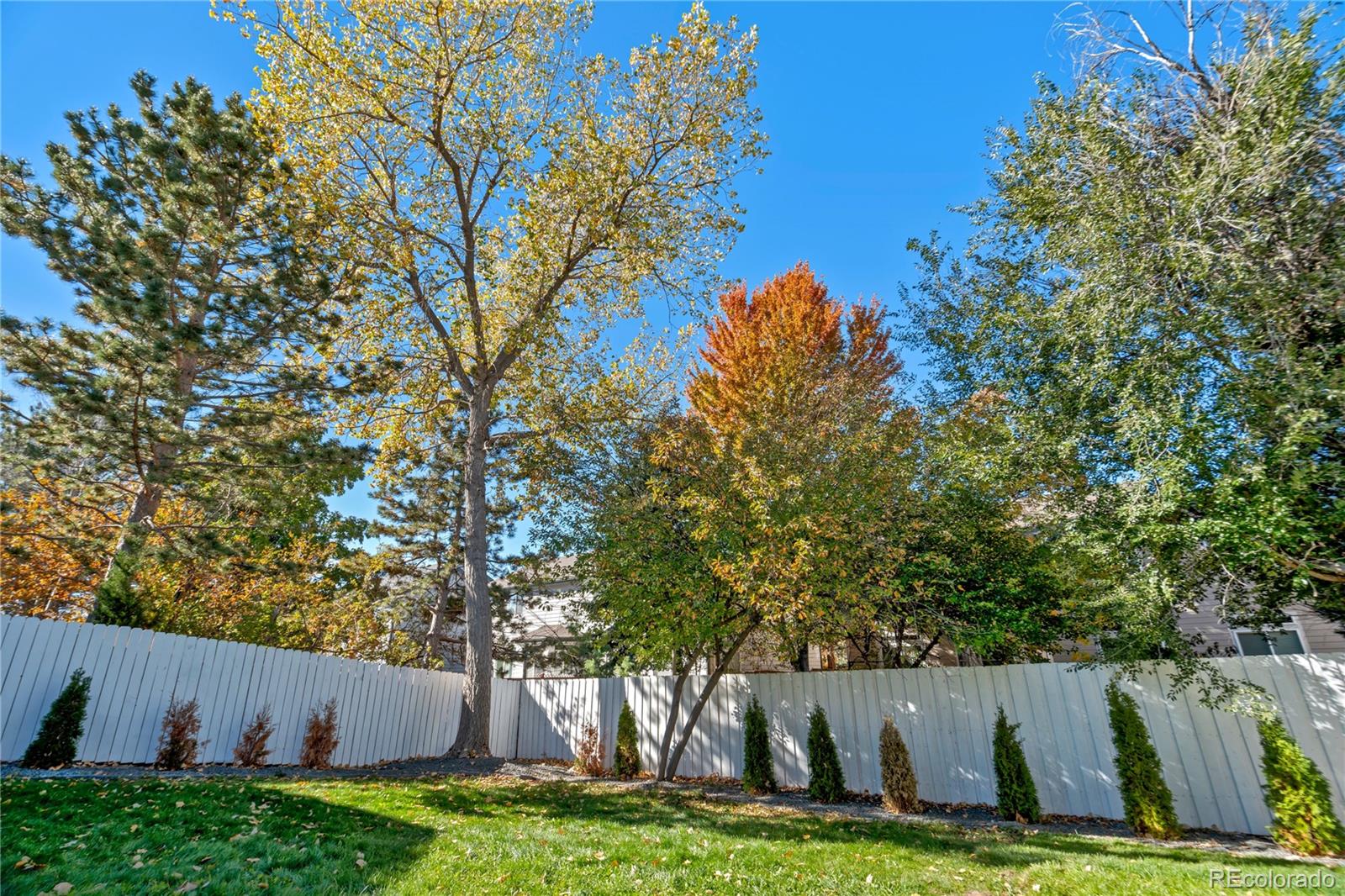 MLS Image #11 for 1909 s lansing court,aurora, Colorado