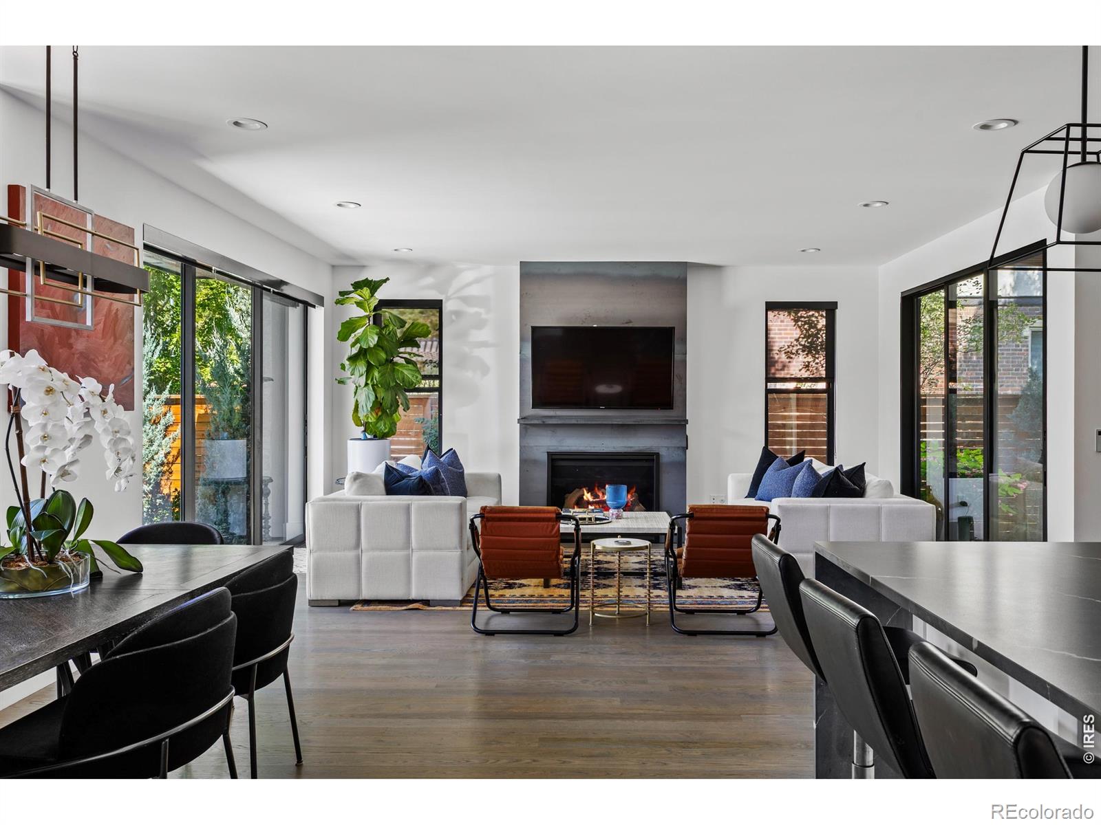 MLS Image #7 for 1035 s columbine street,denver, Colorado
