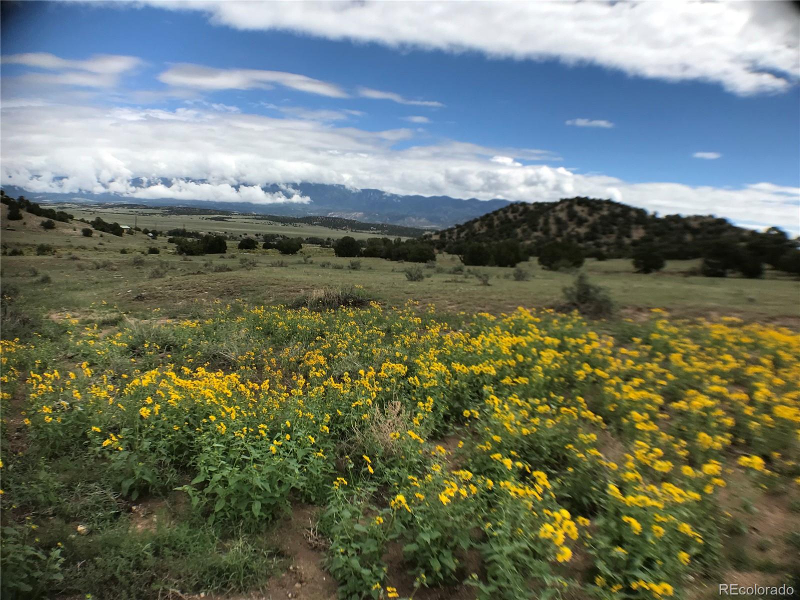 MLS Image #19 for 971  county road 541 ,gardner, Colorado