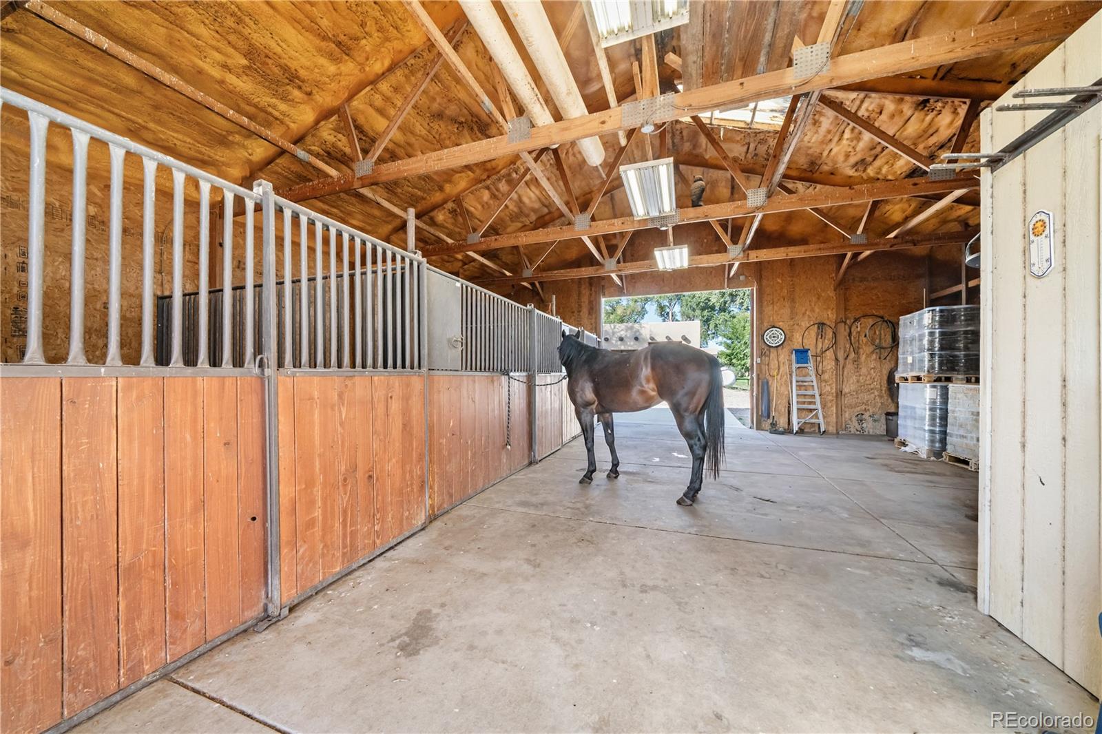 MLS Image #37 for 39513  olson road,pueblo, Colorado