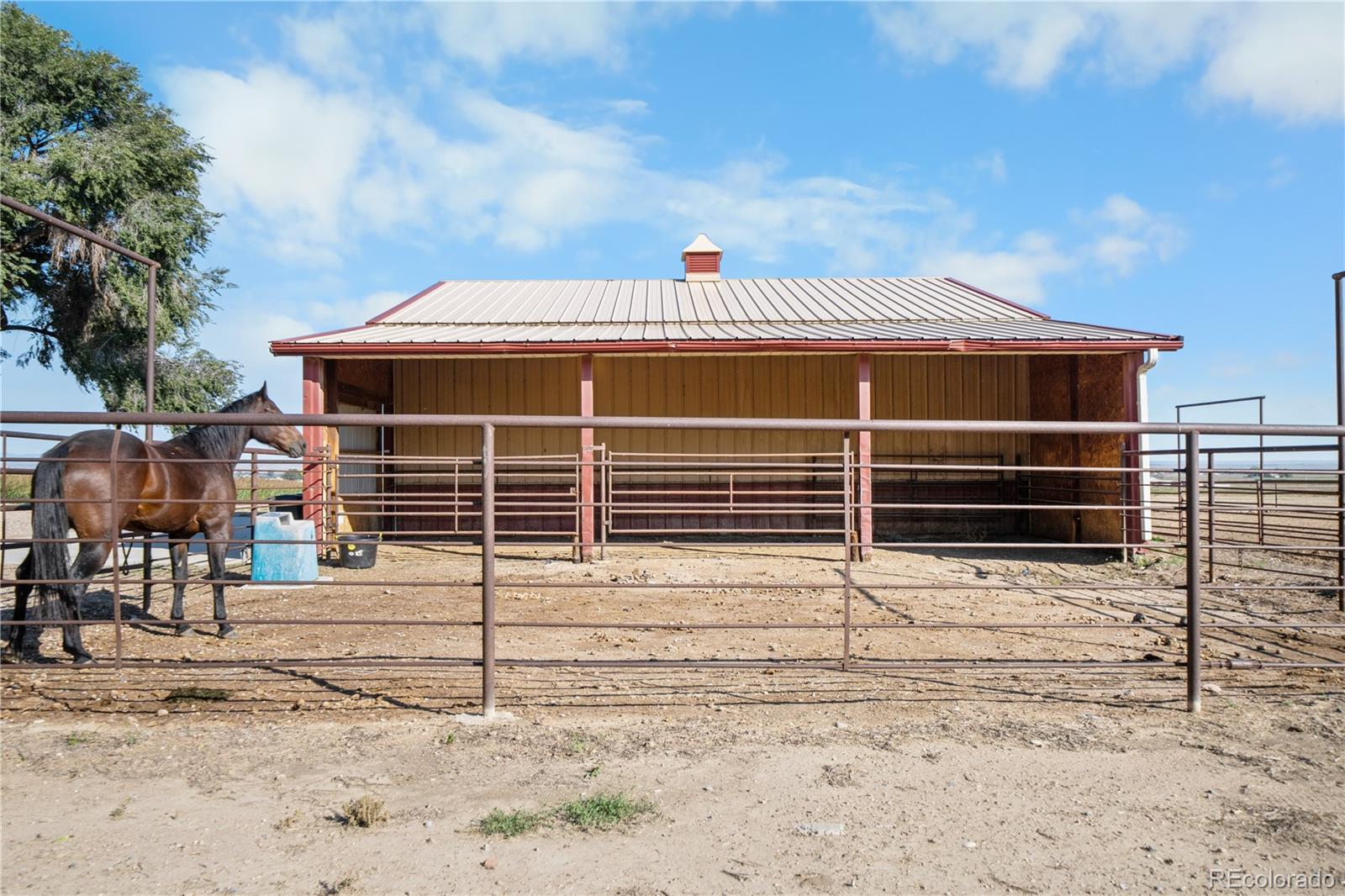 MLS Image #4 for 39513  olson road,pueblo, Colorado