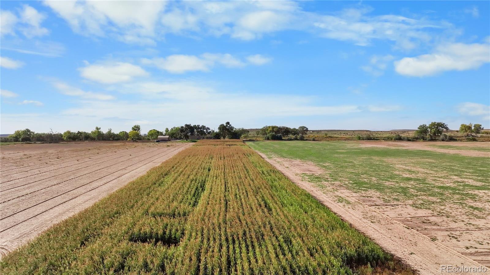 MLS Image #45 for 39513  olson road,pueblo, Colorado