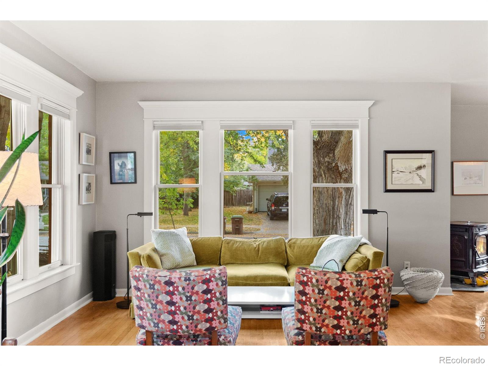 MLS Image #10 for 828 w olive street,fort collins, Colorado