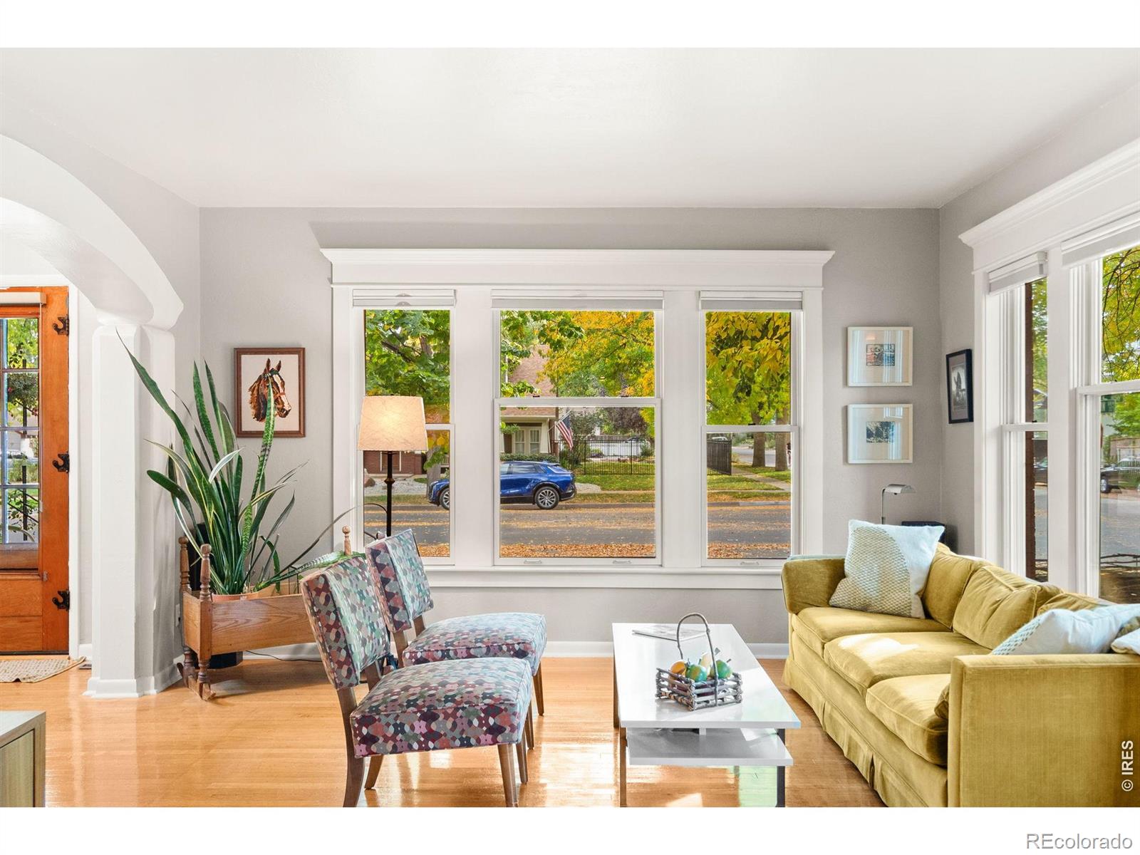 MLS Image #11 for 828 w olive street,fort collins, Colorado