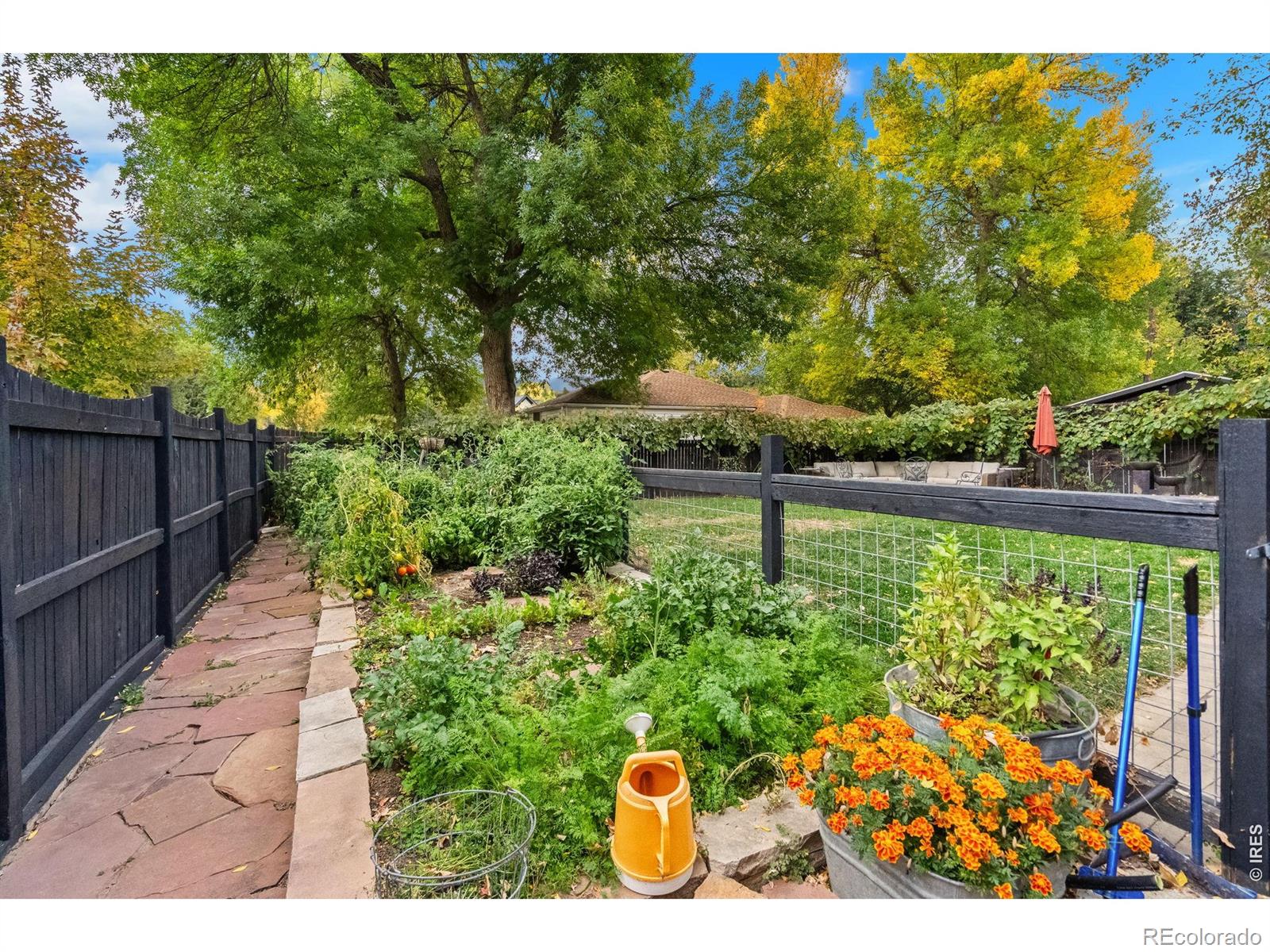 MLS Image #42 for 828 w olive street,fort collins, Colorado