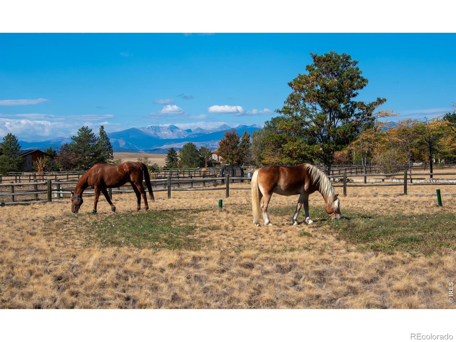 MLS Image #36 for 9421  gunbarrel ridge road,boulder, Colorado
