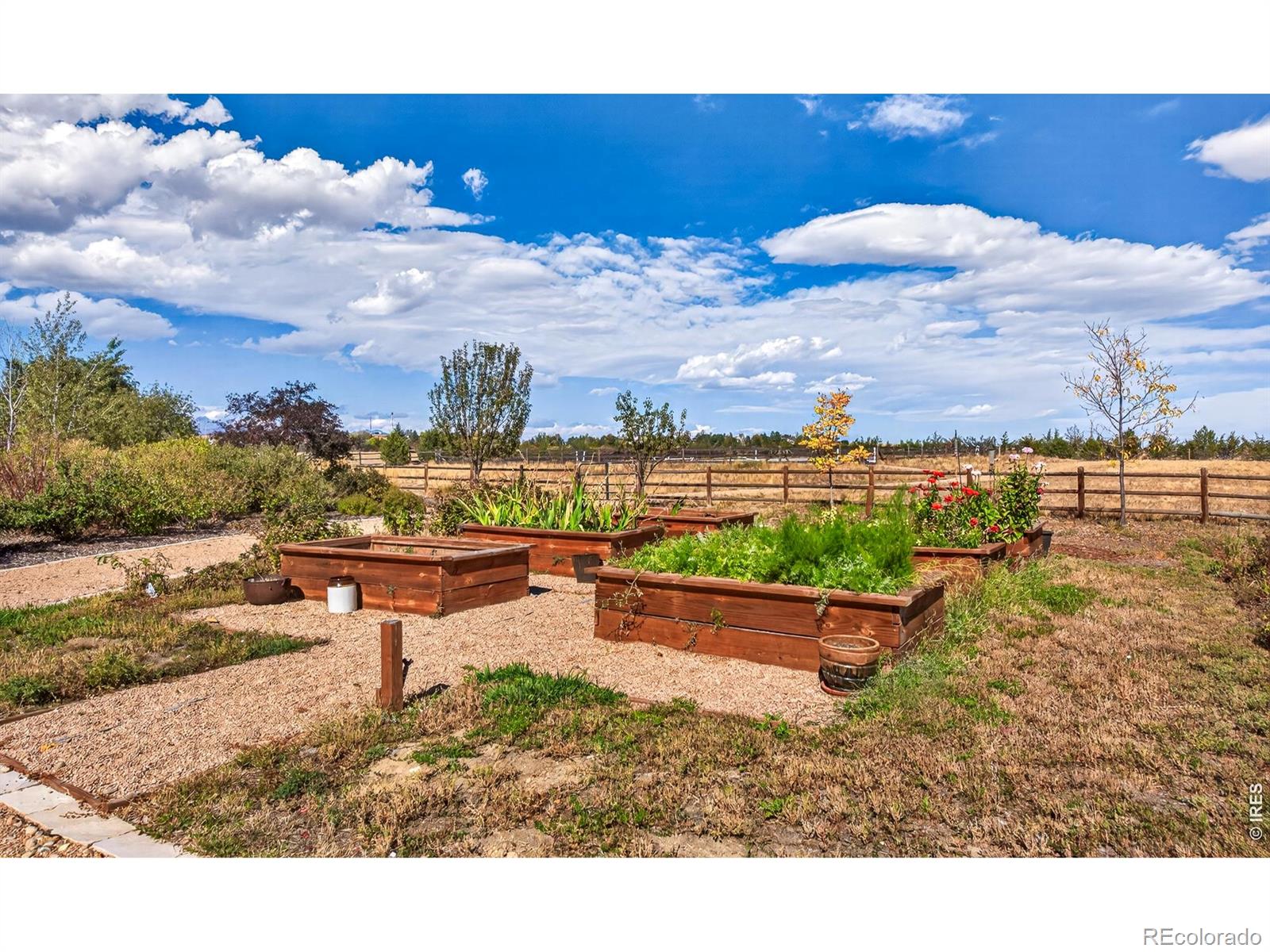 MLS Image #43 for 9421  gunbarrel ridge road,boulder, Colorado
