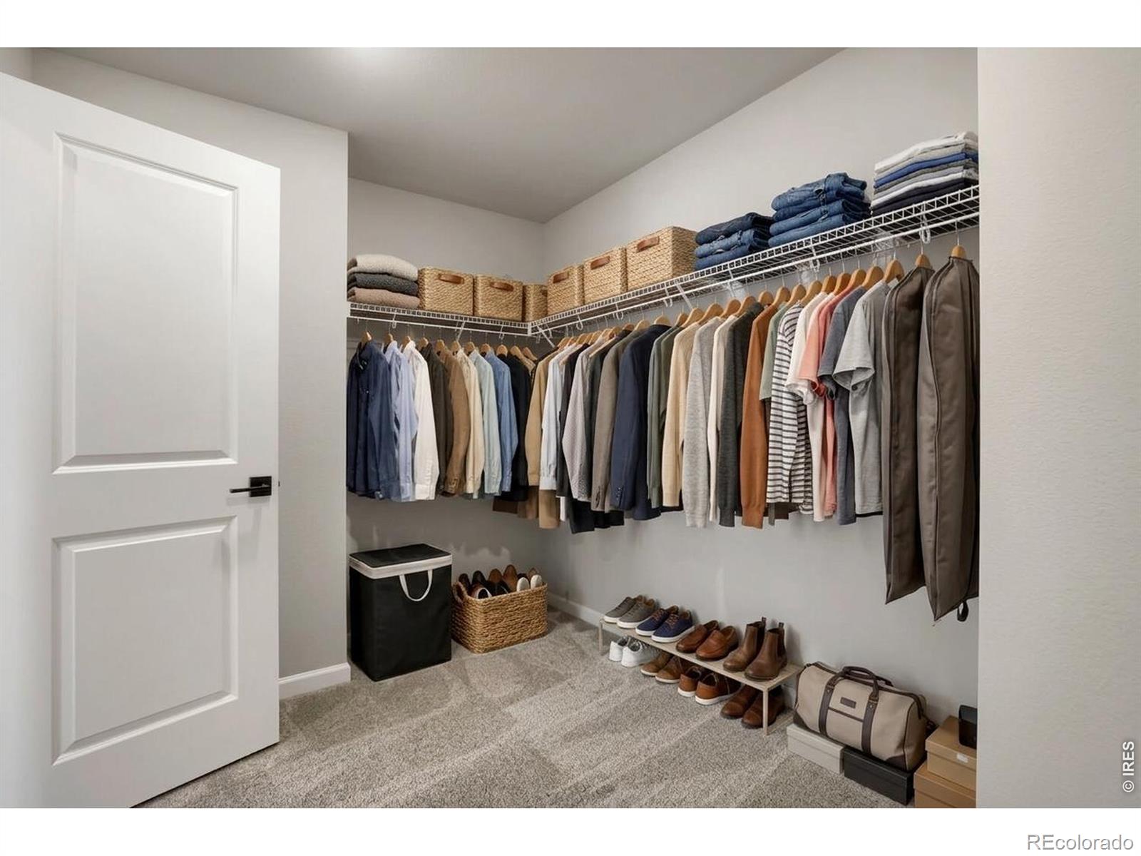 MLS Image #12 for 2454  heyworth lane,fort collins, Colorado