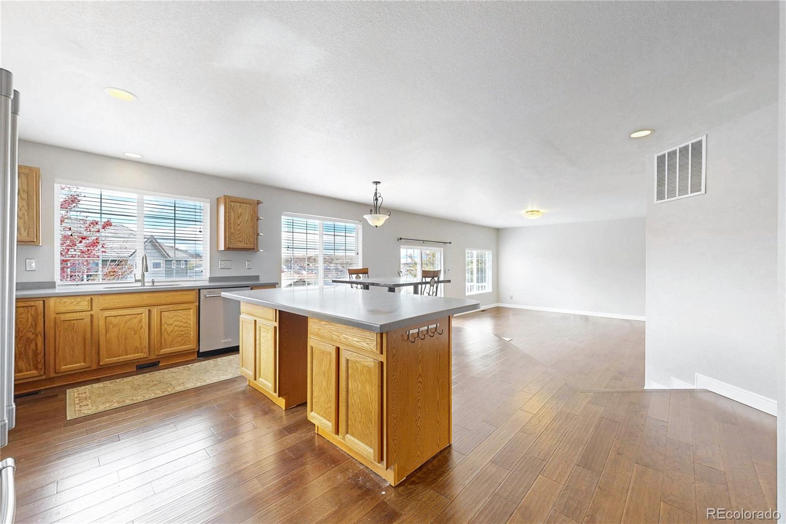 MLS Image #6 for 1243  exquisite street,castle rock, Colorado