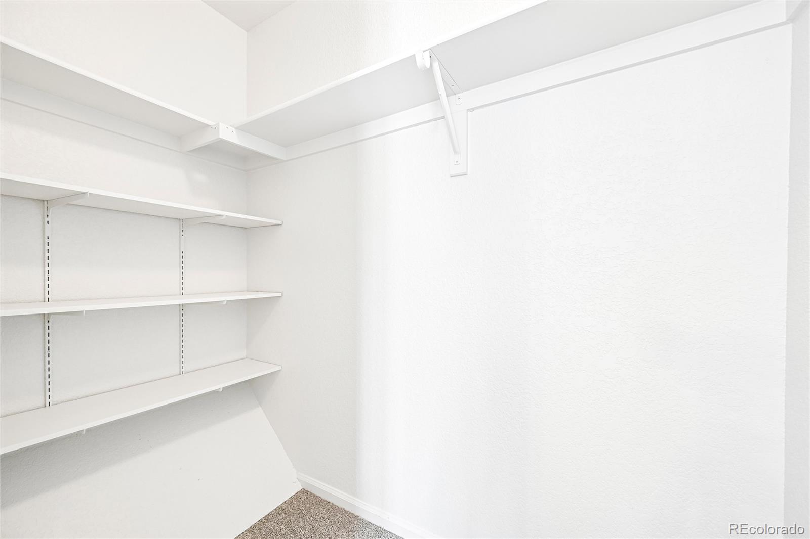 MLS Image #17 for 1703  bain drive,erie, Colorado