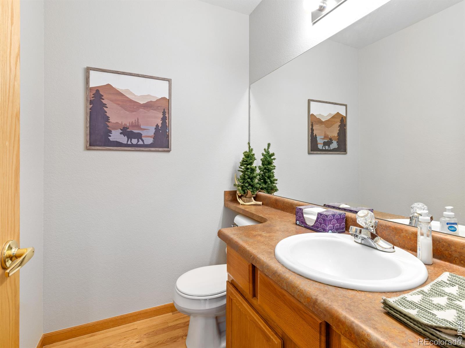 MLS Image #17 for 1519  raven circle,estes park, Colorado
