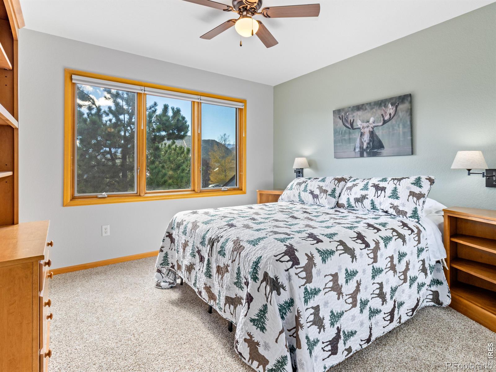 MLS Image #25 for 1519  raven circle,estes park, Colorado