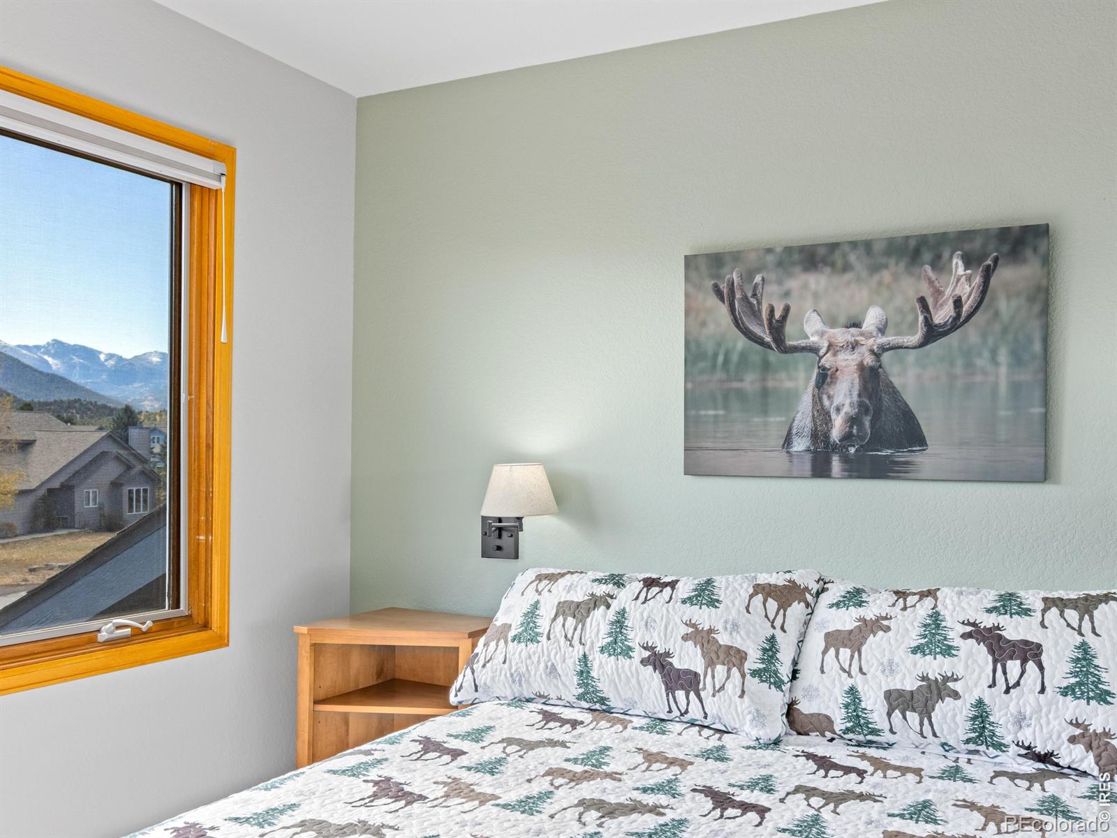MLS Image #26 for 1519  raven circle,estes park, Colorado