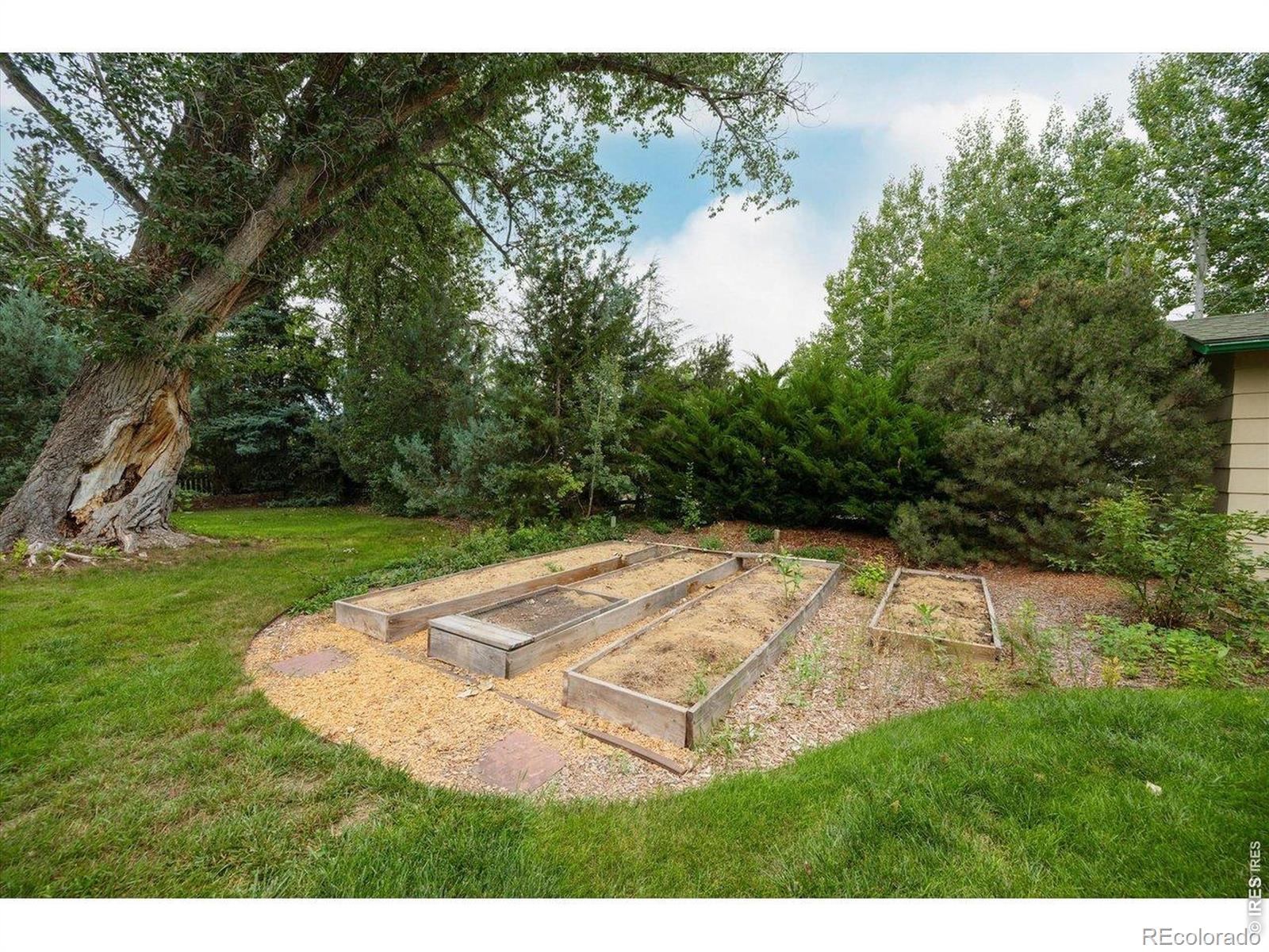 MLS Image #12 for 3400  orchard drive,laporte, Colorado