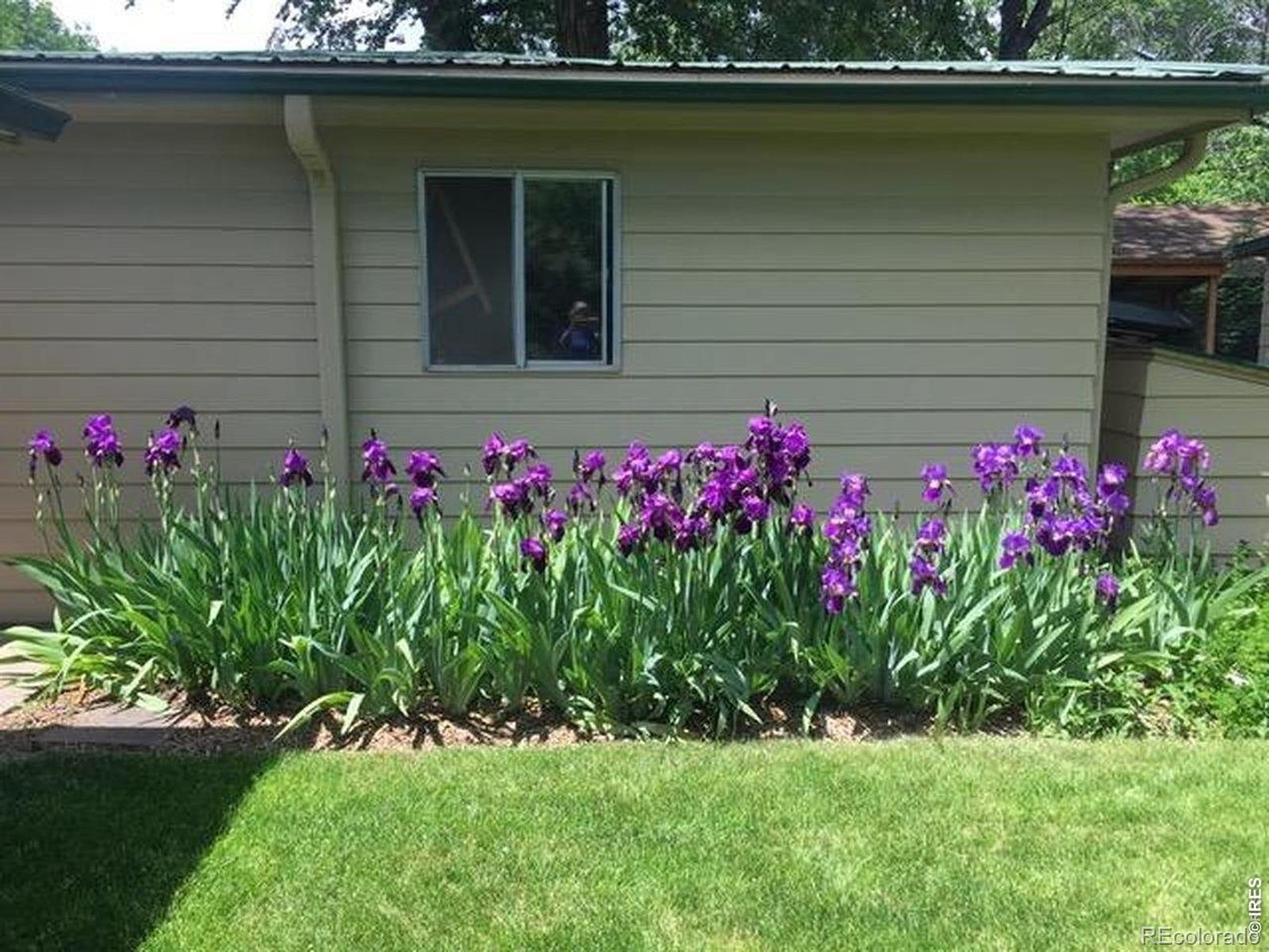 MLS Image #5 for 3400  orchard drive,laporte, Colorado