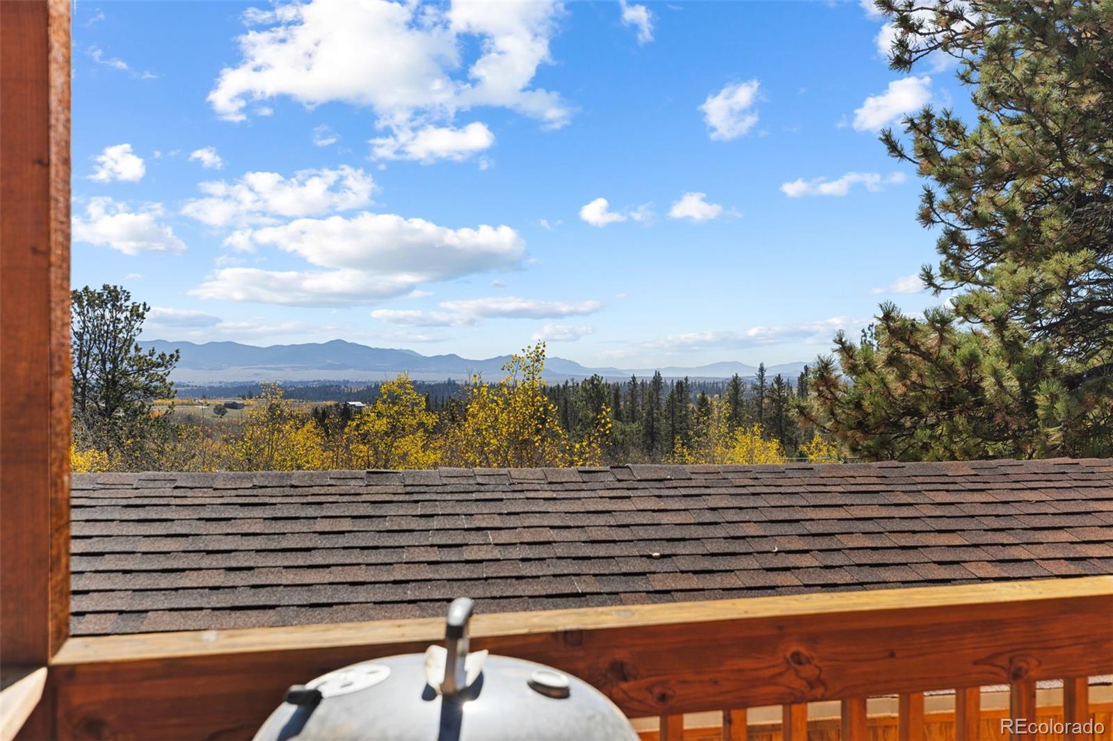 MLS Image #39 for 20  willet lane,como, Colorado