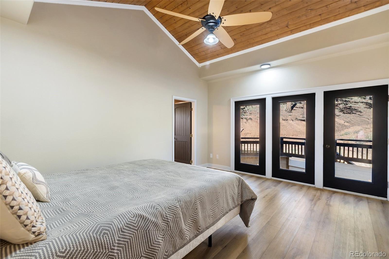 MLS Image #12 for 396  mohawk heights,divide, Colorado
