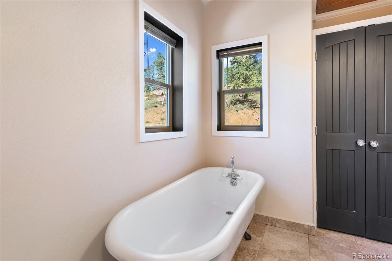 MLS Image #16 for 396  mohawk heights,divide, Colorado