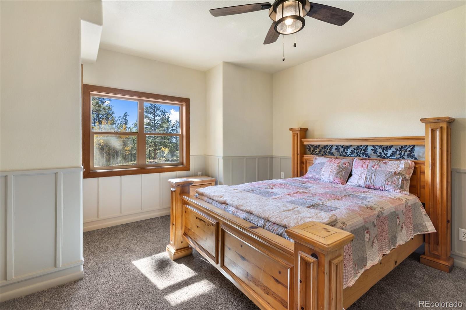 MLS Image #22 for 396  mohawk heights,divide, Colorado