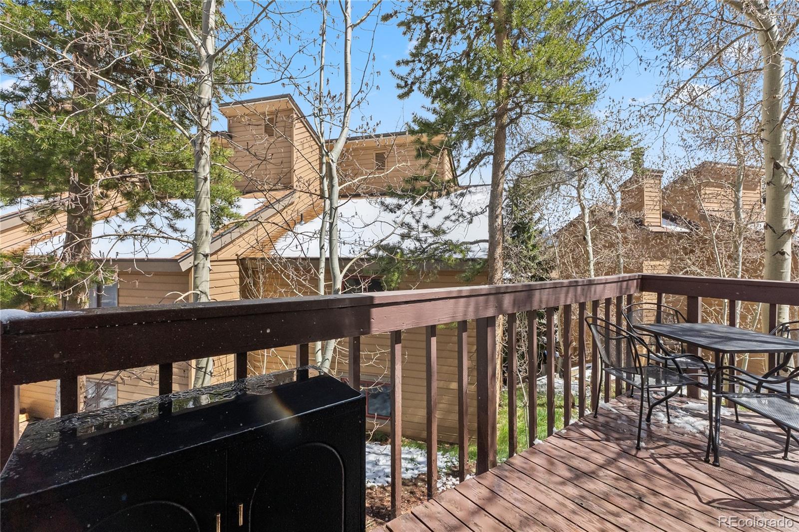 MLS Image #38 for 6920  ryan gulch road,silverthorne, Colorado
