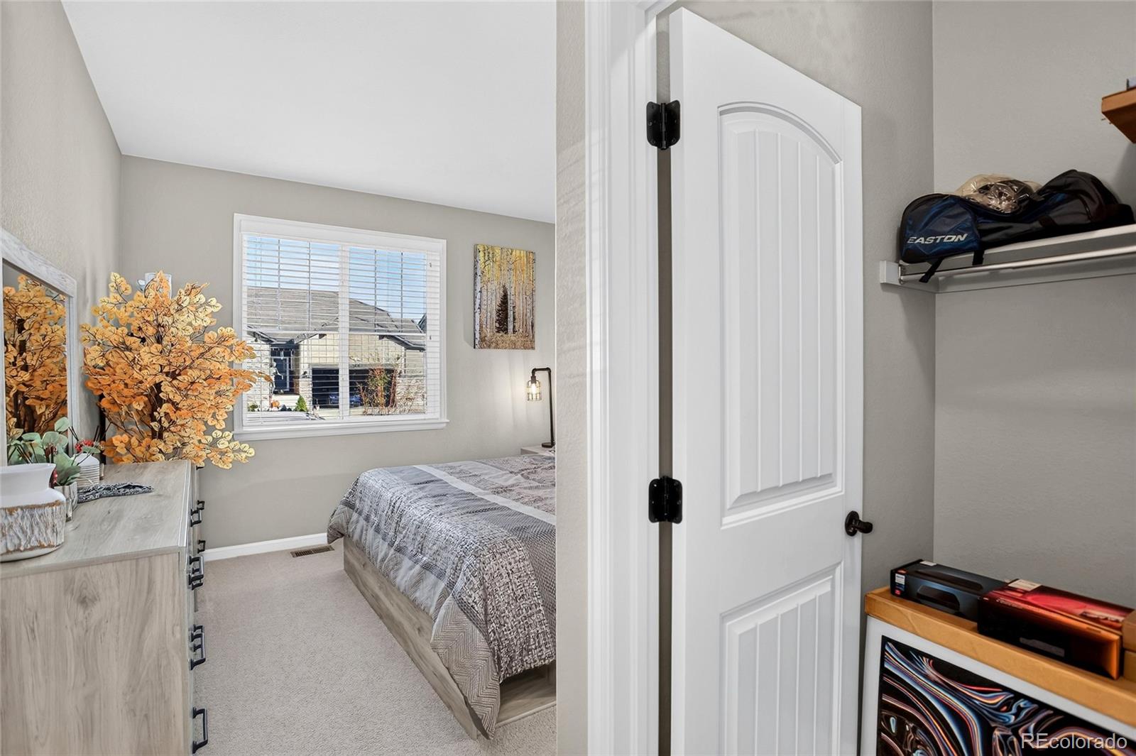 MLS Image #27 for 11473  hannibal street,commerce city, Colorado