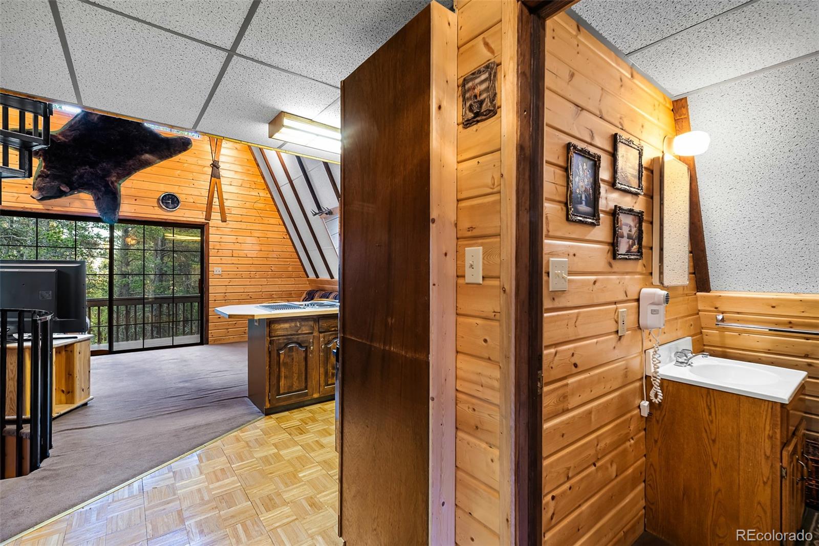 MLS Image #11 for 2178  high creek road,fairplay, Colorado