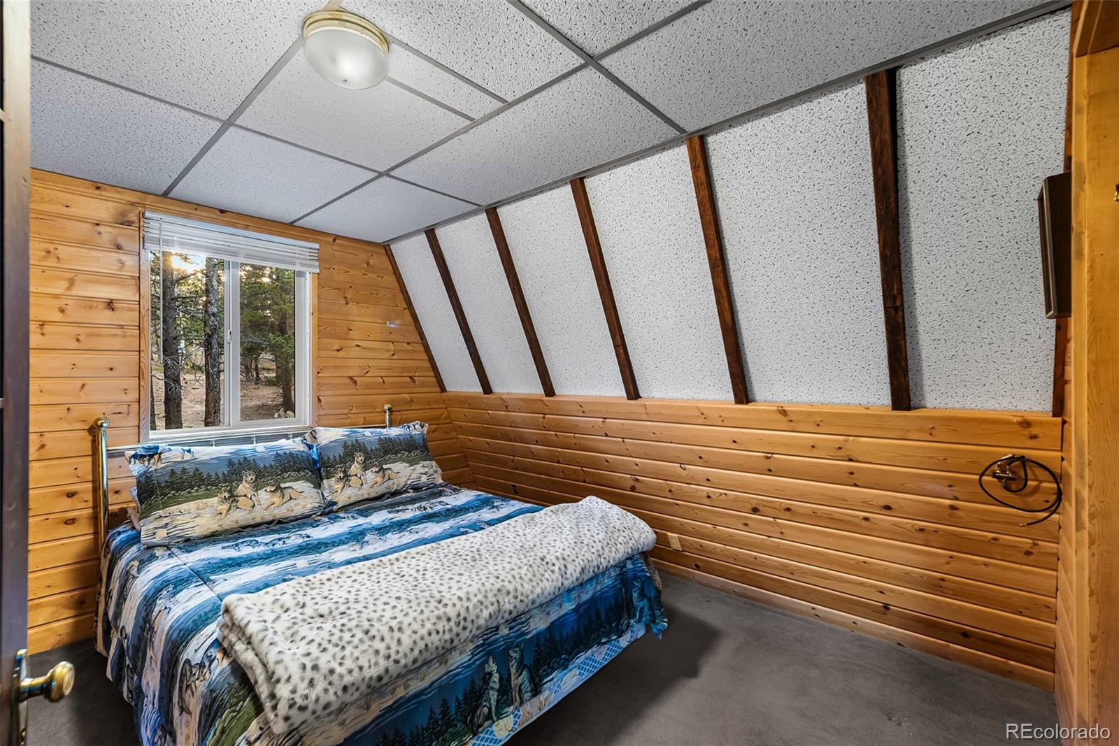 MLS Image #12 for 2178  high creek road,fairplay, Colorado
