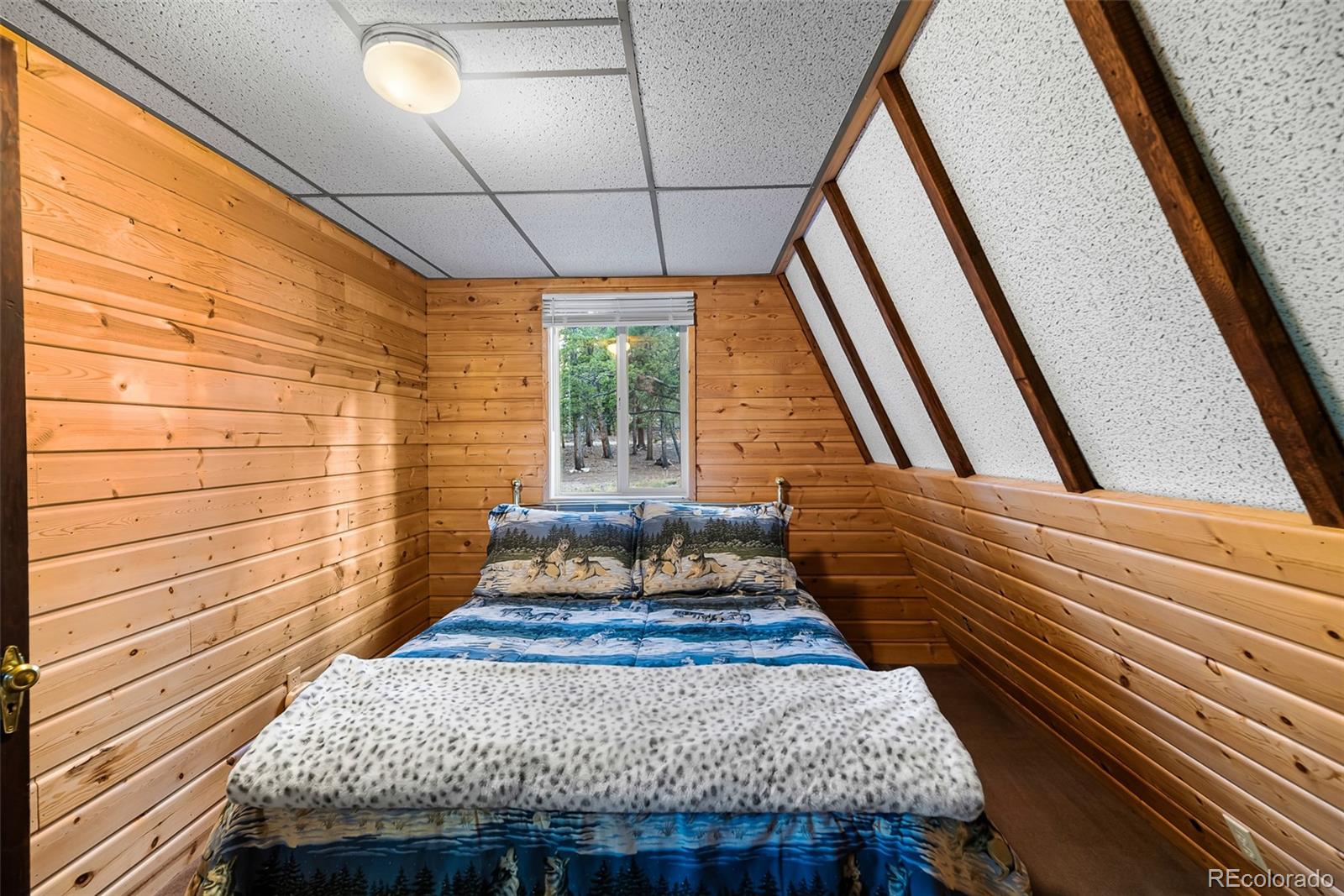 MLS Image #13 for 2178  high creek road,fairplay, Colorado