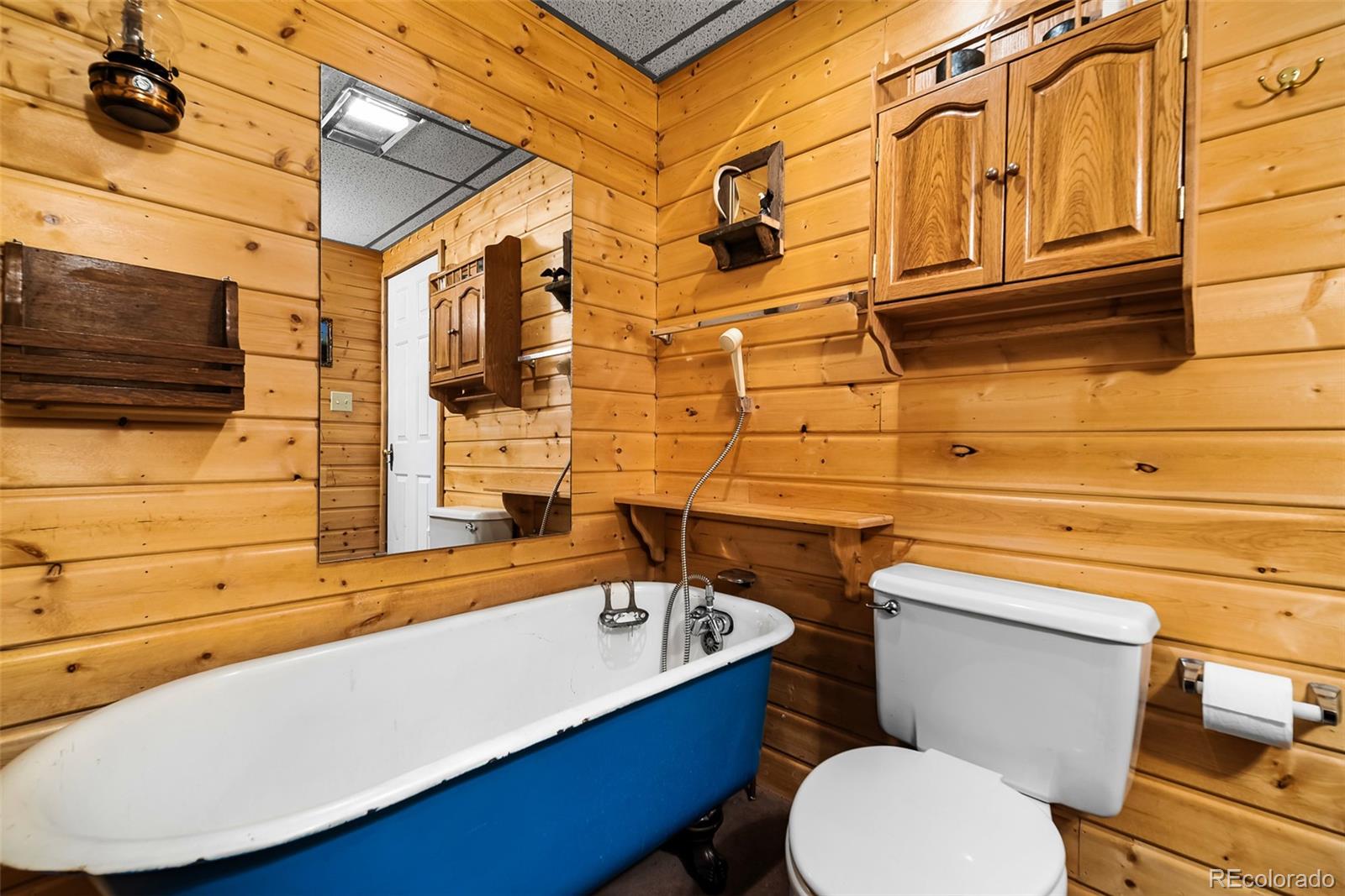 MLS Image #14 for 2178  high creek road,fairplay, Colorado