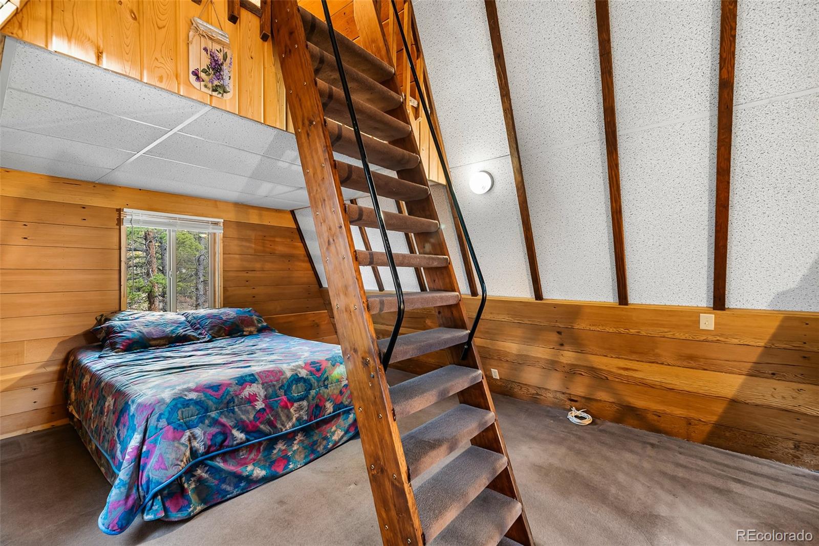 MLS Image #18 for 2178  high creek road,fairplay, Colorado