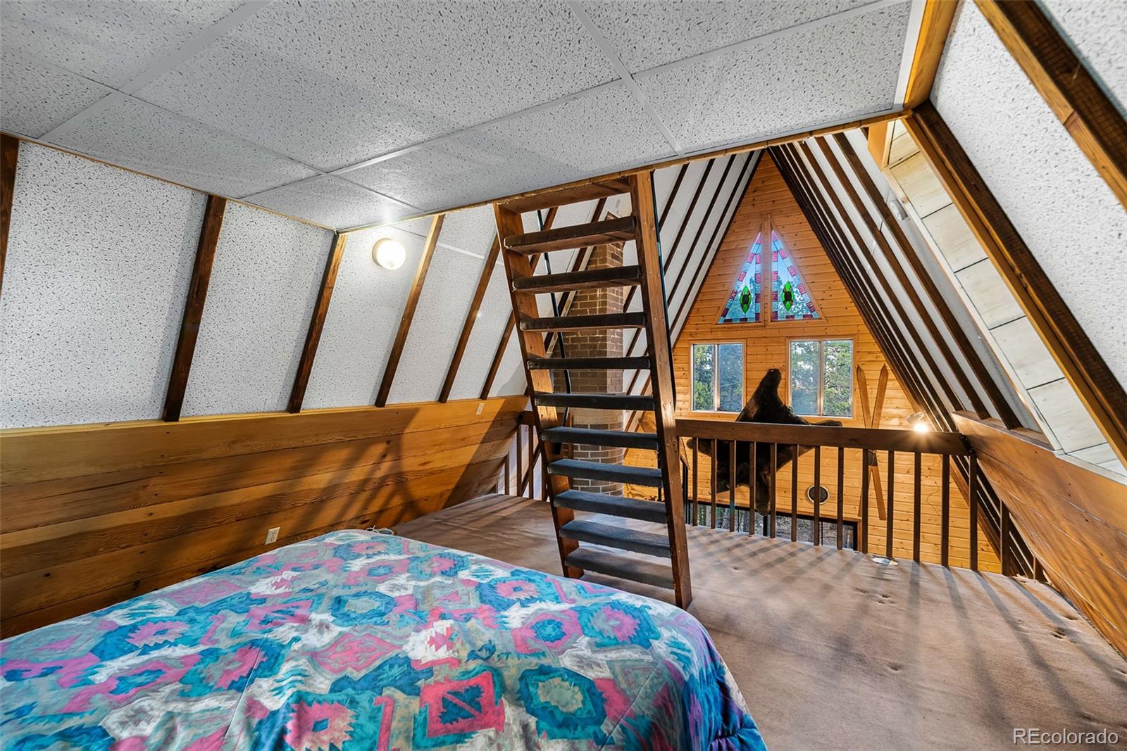 MLS Image #19 for 2178  high creek road,fairplay, Colorado