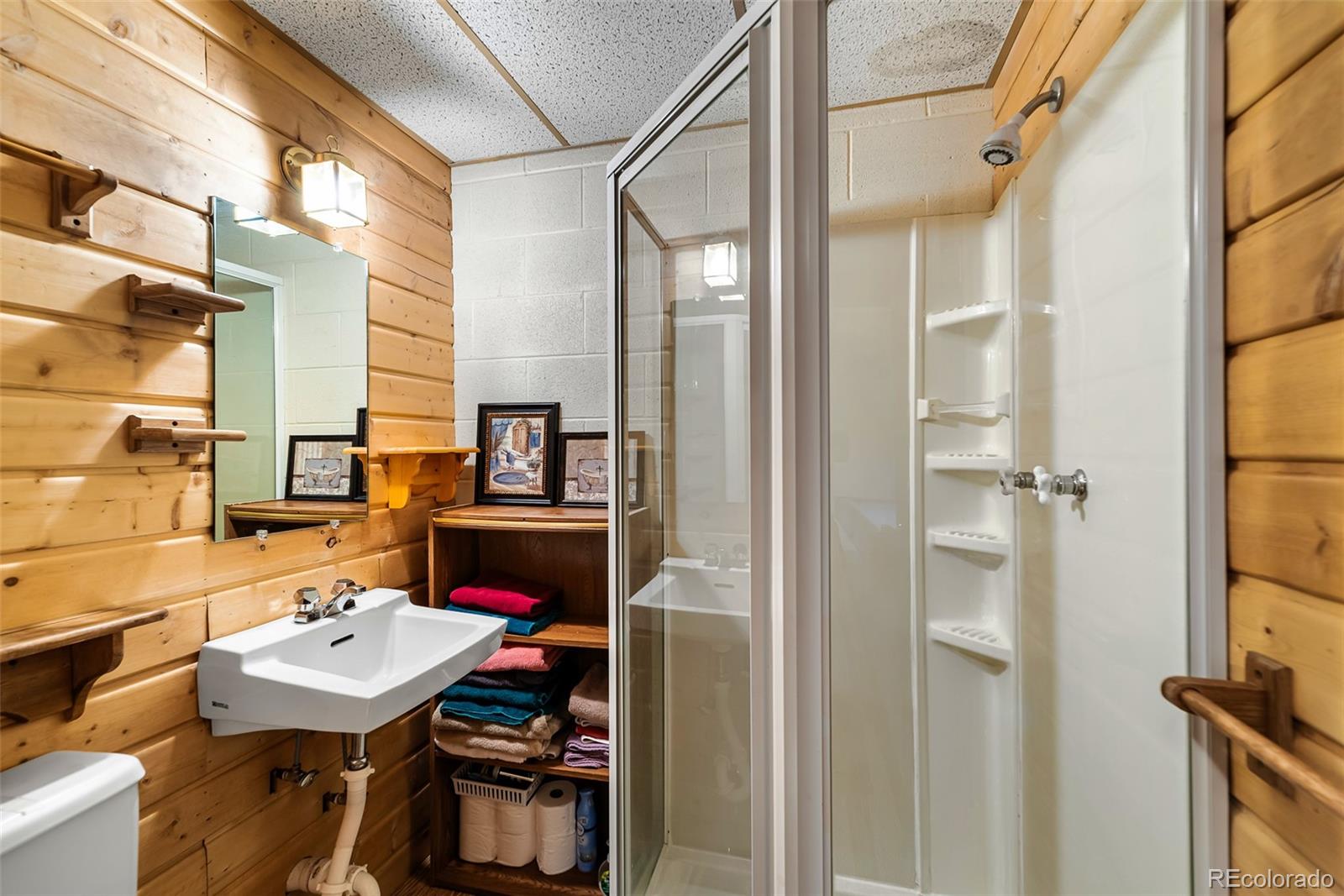 MLS Image #25 for 2178  high creek road,fairplay, Colorado