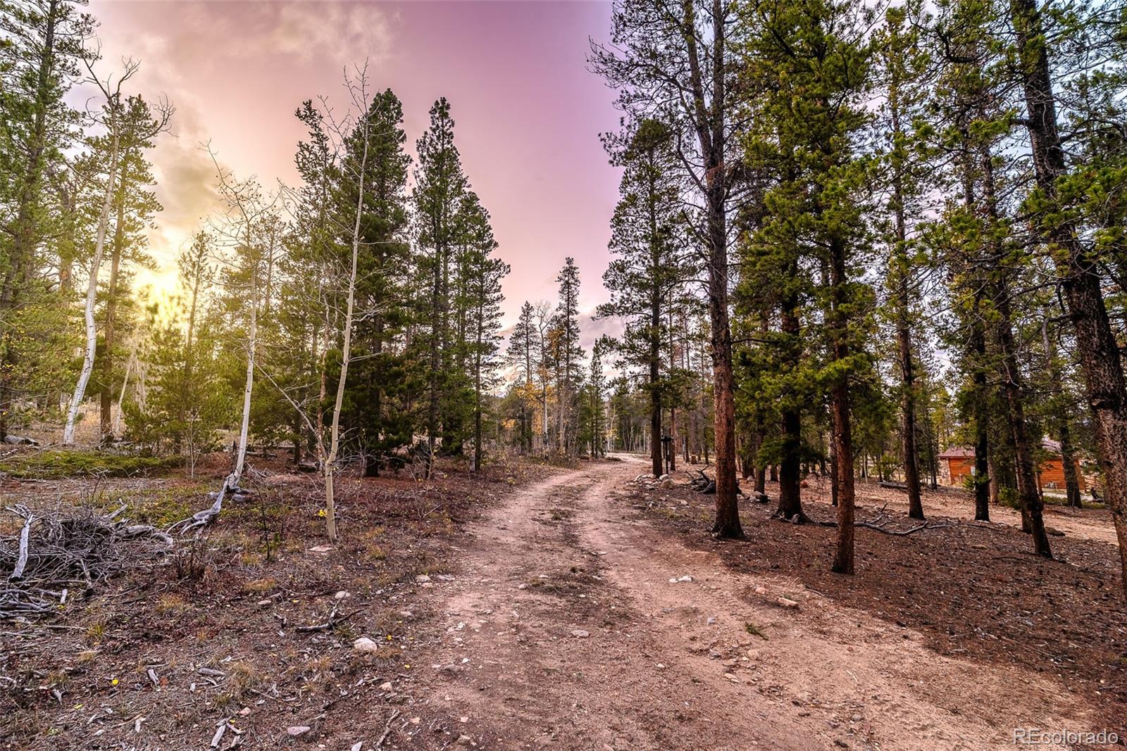 MLS Image #46 for 2178  high creek road,fairplay, Colorado