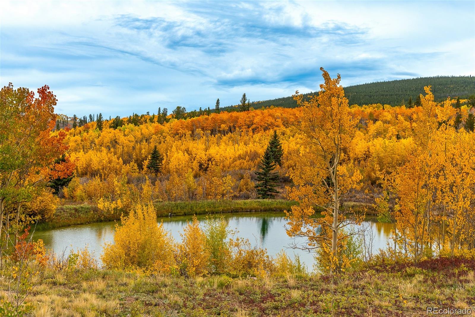 MLS Image #47 for 2178  high creek road,fairplay, Colorado