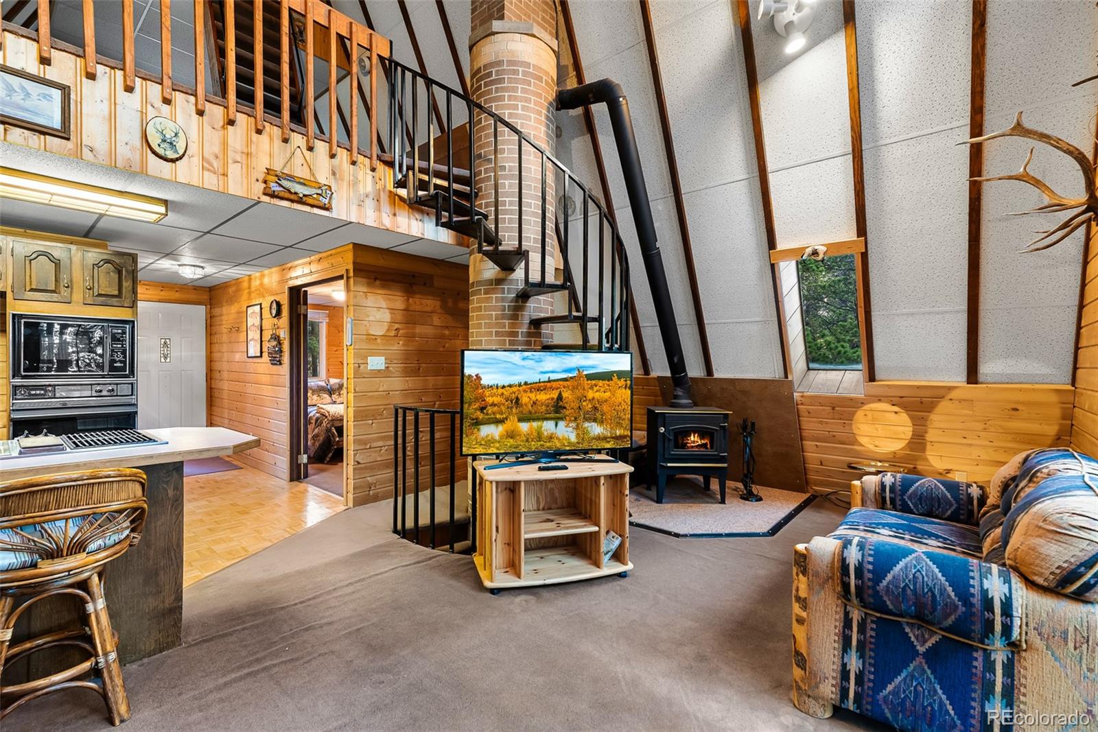 MLS Image #6 for 2178  high creek road,fairplay, Colorado