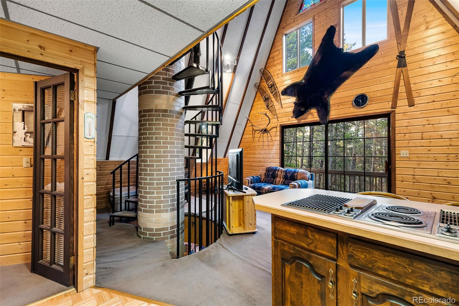 MLS Image #7 for 2178  high creek road,fairplay, Colorado