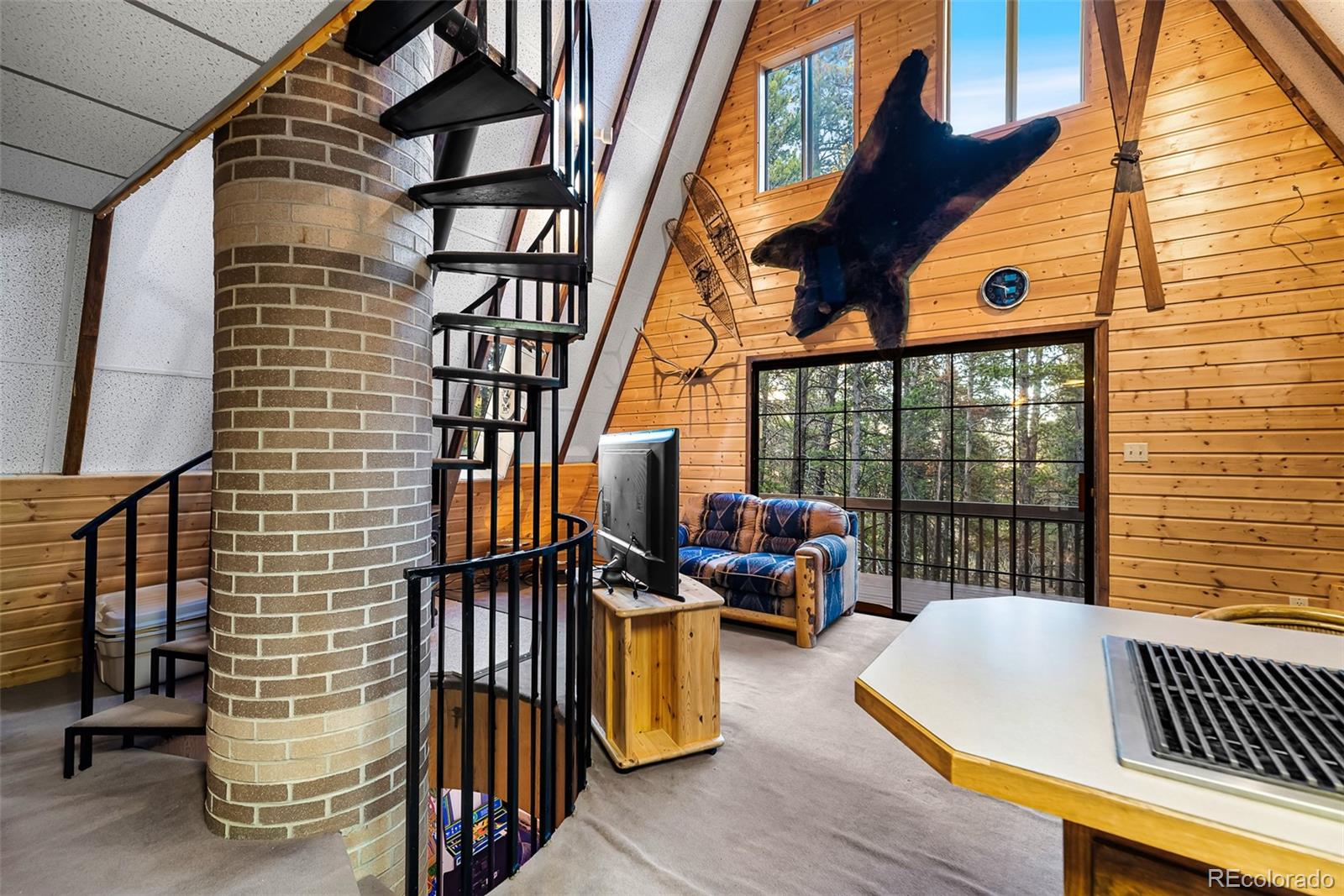 MLS Image #9 for 2178  high creek road,fairplay, Colorado