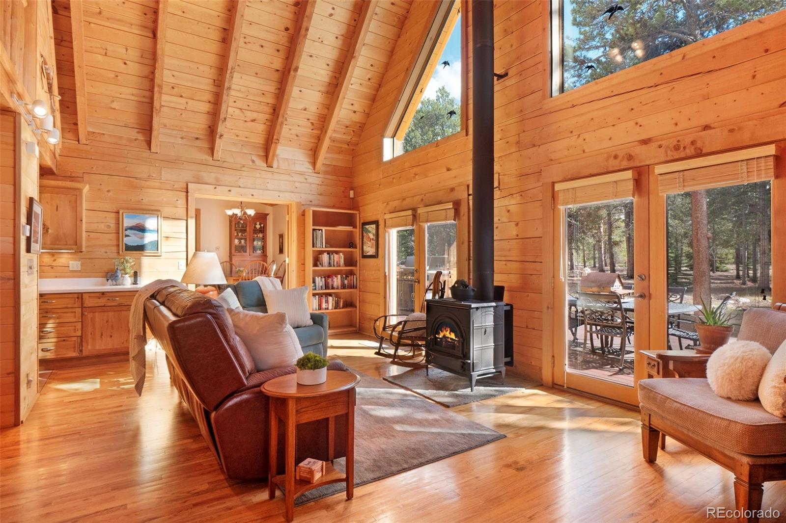 MLS Image #1 for 115  lupine lane,leadville, Colorado