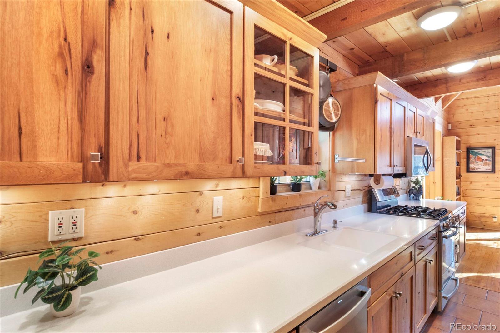 MLS Image #10 for 115  lupine lane,leadville, Colorado