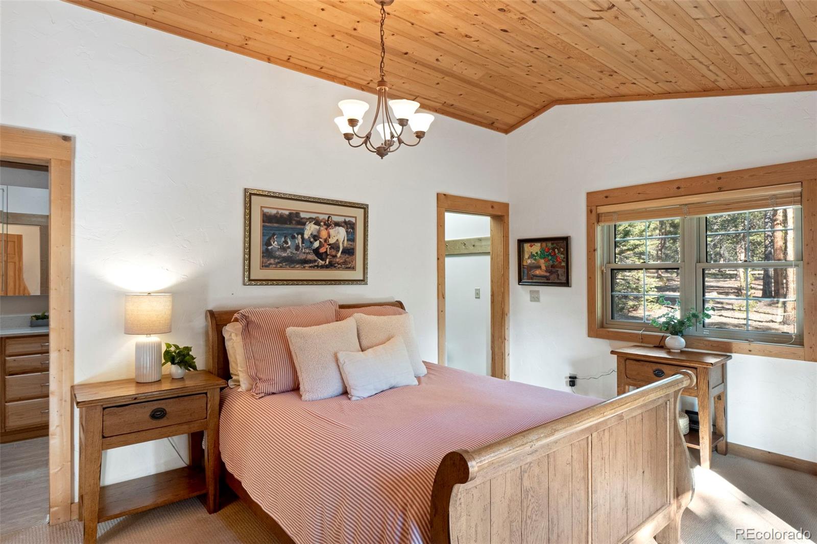 MLS Image #17 for 115  lupine lane,leadville, Colorado