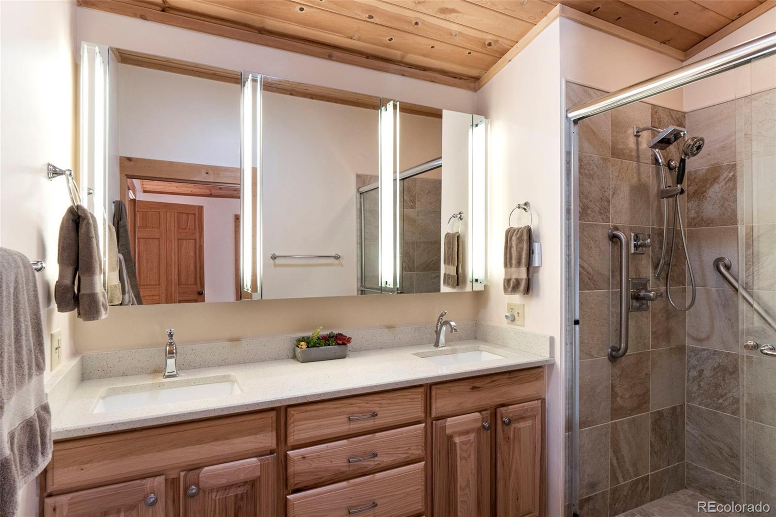 MLS Image #20 for 115  lupine lane,leadville, Colorado